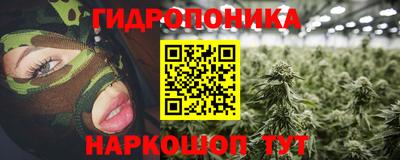 a pvp Краснокаменск