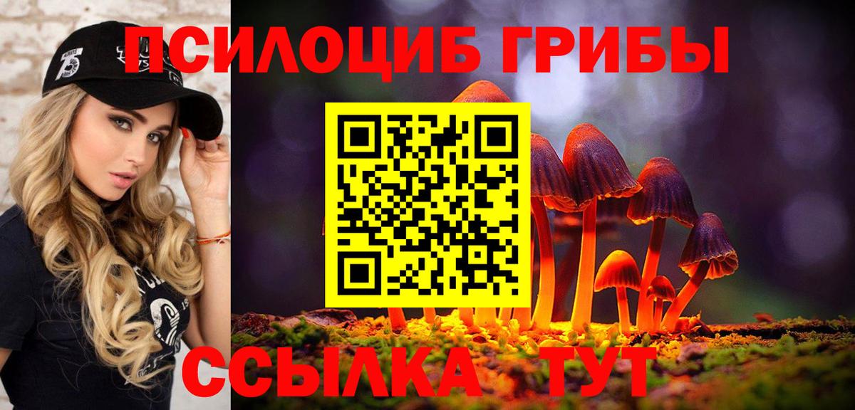 Псилоцибиновые грибы мухоморы  Галлюциногенные грибы Psilocybine cubensis  Вход с VPN  Дербент 